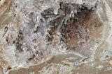 Las Choyas Coconut Geode with Amethyst Crystals - Mexico #165398-1